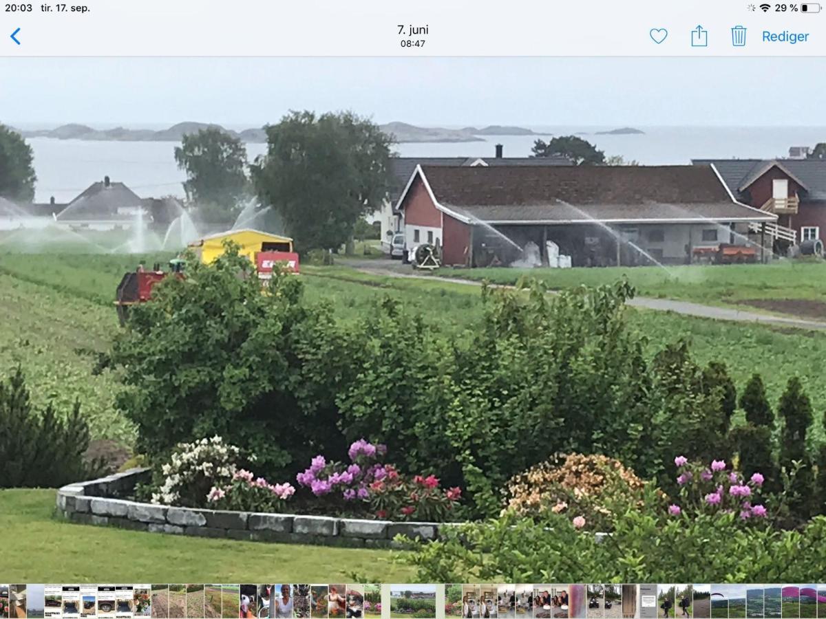 Ny Leilighet I Nevlunghavn Larvik Bagian luar foto
