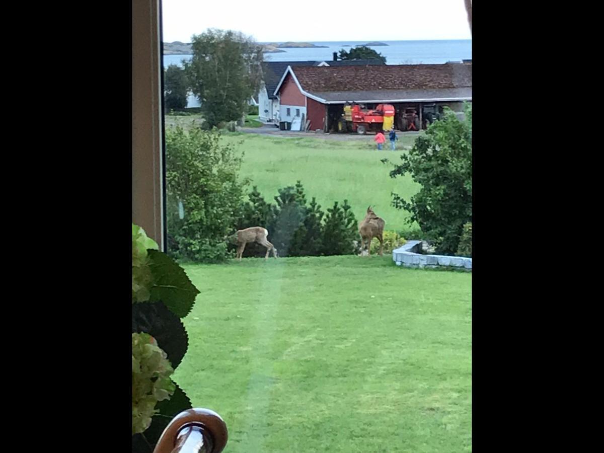 Ny Leilighet I Nevlunghavn Larvik Bagian luar foto