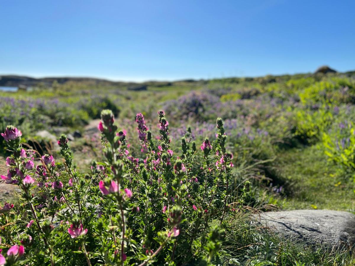 Ny Leilighet I Nevlunghavn Larvik Bagian luar foto