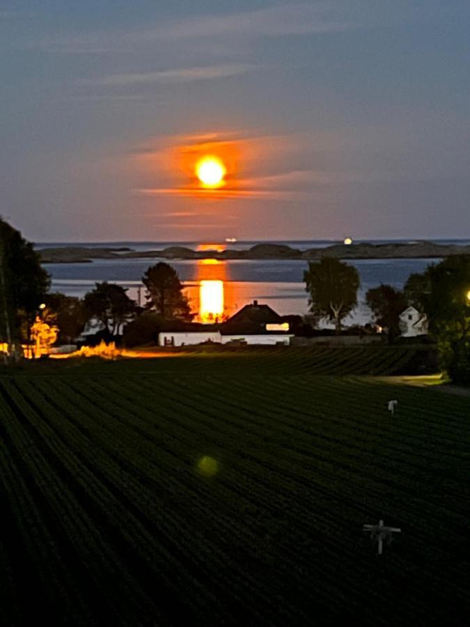 Ny Leilighet I Nevlunghavn Larvik Bagian luar foto